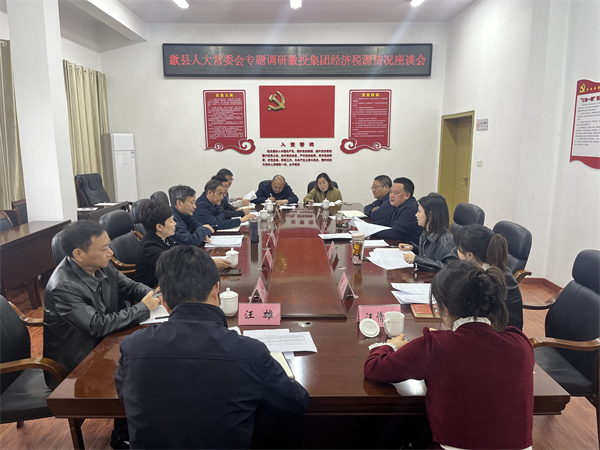 4月7日，县人大常委会主任梅代军带队专题调研乐玩（中国）集团经济税源情况，集团洪董、叶总、方总参加调研座谈。.jpg