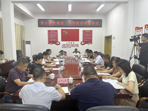 9月13日晚，县领导詹凯、汪盛调研集团运营情况，县发改委、县资规局、县住建局、县财政局（国资委）、县人社局、徽城镇负责同志，乐玩（中国）集团班子成员，集团各部门、各一级子公司主要负责人参加座谈会。.jpg